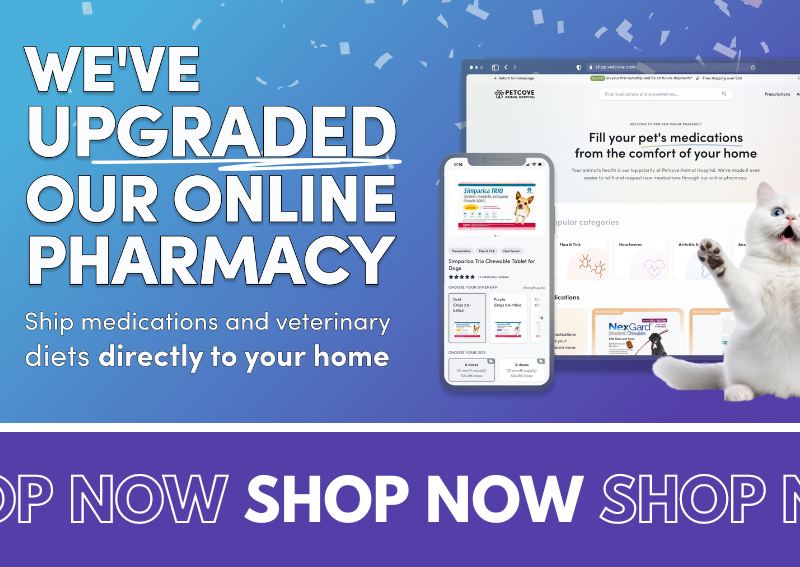 Carousel Slide 1: Visit our new online pet pharmacy and store!